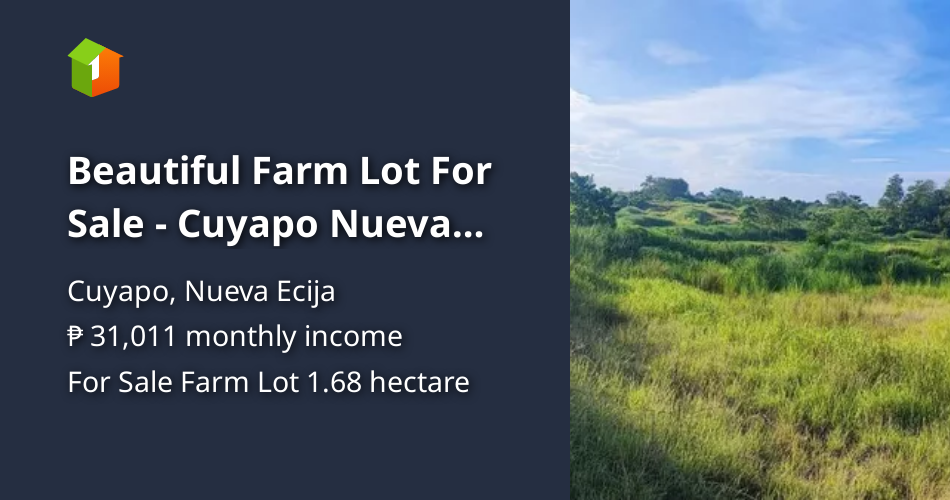 Beautiful Farm Lot For Sale Cuyapo Nueva Ecija [Lot 🚜] (July 2024) in