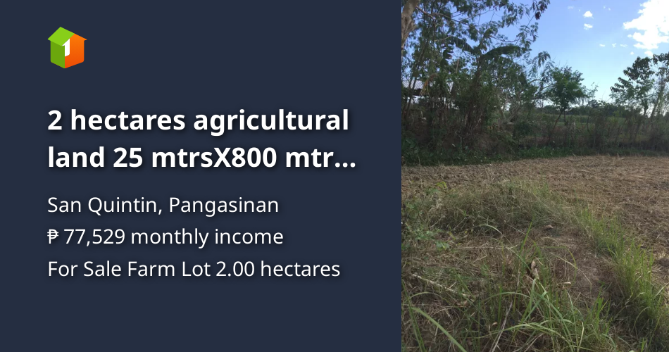 2 hectares agricultural land 25 mtrsX800 mtrs near Mac Arthur Highway