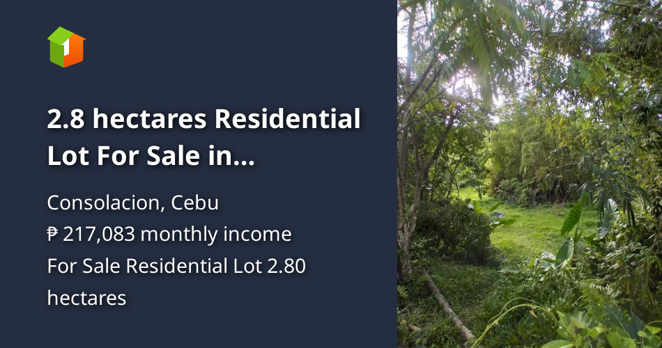 2.8 hectares Residential Lot For Sale in Consolacion Cebu [Lot 🚜