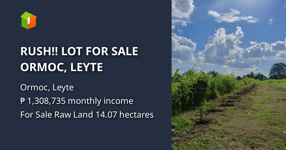 RUSH!! LOT FOR SALE ORMOC, LEYTE [Lot 🚜] (July 2024) in Ormoc, Leyte for sale