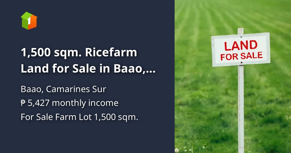 1,500 sqm. Ricefarm Land for Sale in Baao, Camarines Sur [Lot 🚜