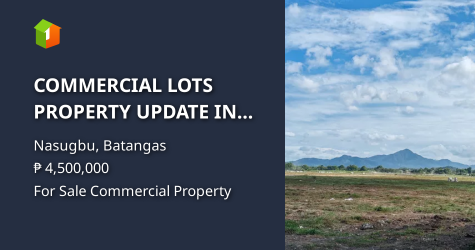COMMERCIAL LOTS PROPERTY UPDATE IN NASUGBU BATANGAS!