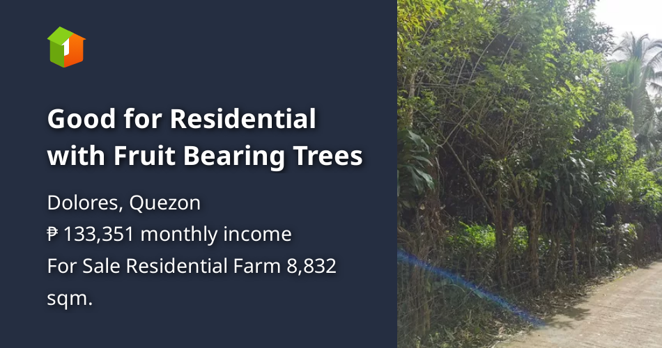 Good for Residential with Fruit Bearing Trees [Lot 🚜] (December 2021
