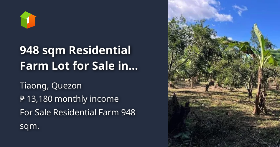 948 sqm Residential Farm Lot for Sale in Tiaong Quezon [Lot 🚜] (July