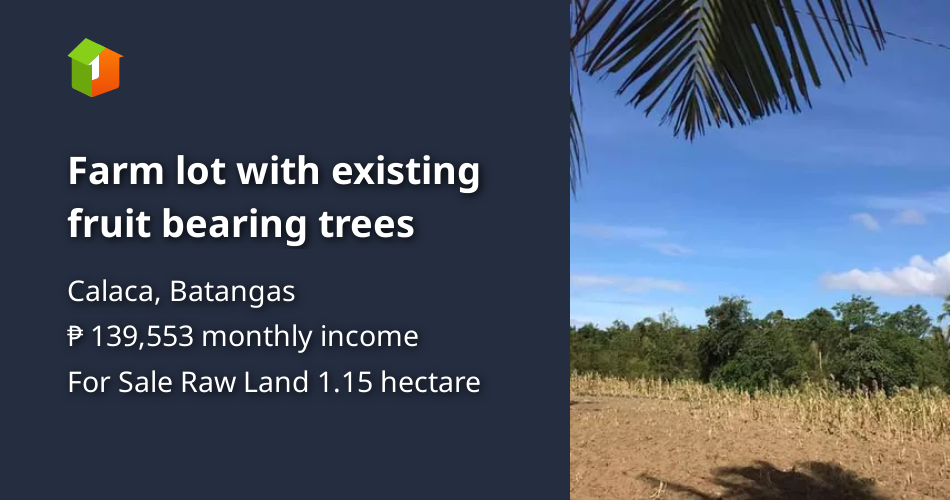 Farm lot with existing fruit bearing trees [Lot 🚜] (October 2023) in