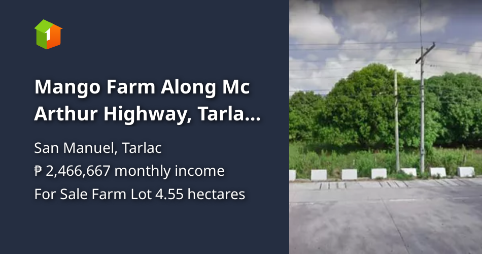 Mango Farm Along Mc Arthur Highway, Tarlac, San Manuel/ Moncada [Lot 🚜