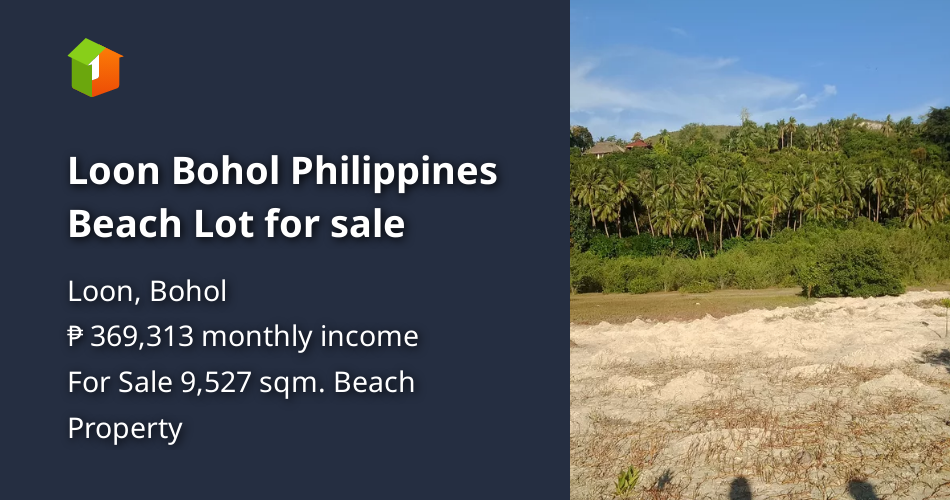 Loon Bohol Philippines Beach Lot for sale [Beach Property 🏖️] (October