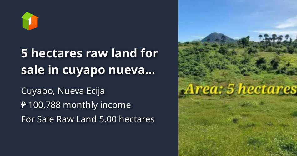 5 hectares raw land for sale in cuyapo nueva ecija [Lot 🚜] (April 2024