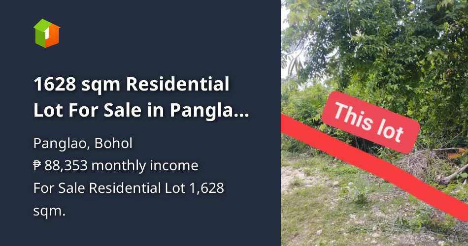1628 sqm Residential Lot For Sale in Panglao Bohol [Lot 🚜] (July 2024