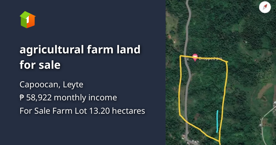 Agricultural farm land for sale [Lot 🚜] (August 2024) in Capoocan