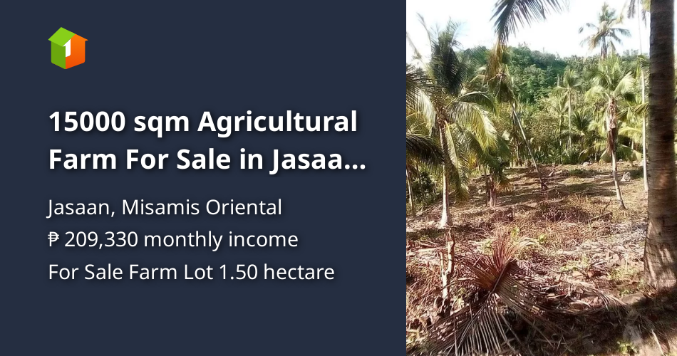 15000 sqm Agricultural Farm For Sale in Jasaan Misamis Oriental [Lot 🚜