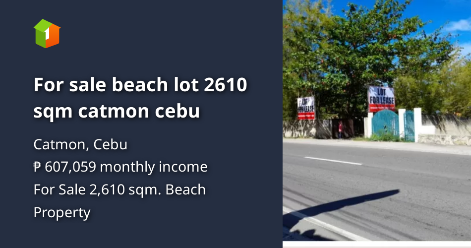 For sale beach lot 2610 sqm catmon cebu [Beach Property 🏖️] (August