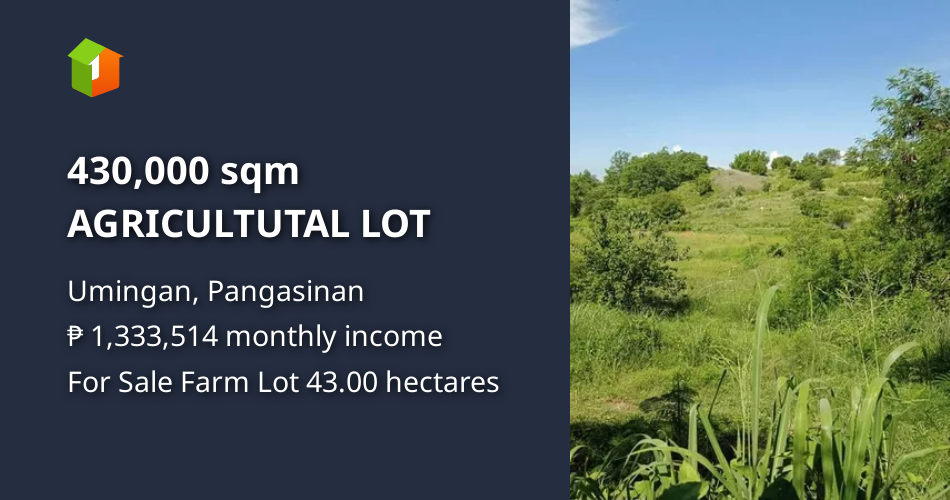 430,000 sqm AGRICULTUTAL LOT [Lot 🚜] (August 2024) in Umingan