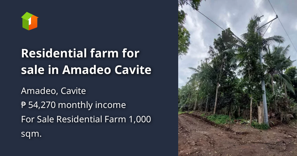 Residential farm for sale in Amadeo Cavite [Lot 🚜] (January 2023) in