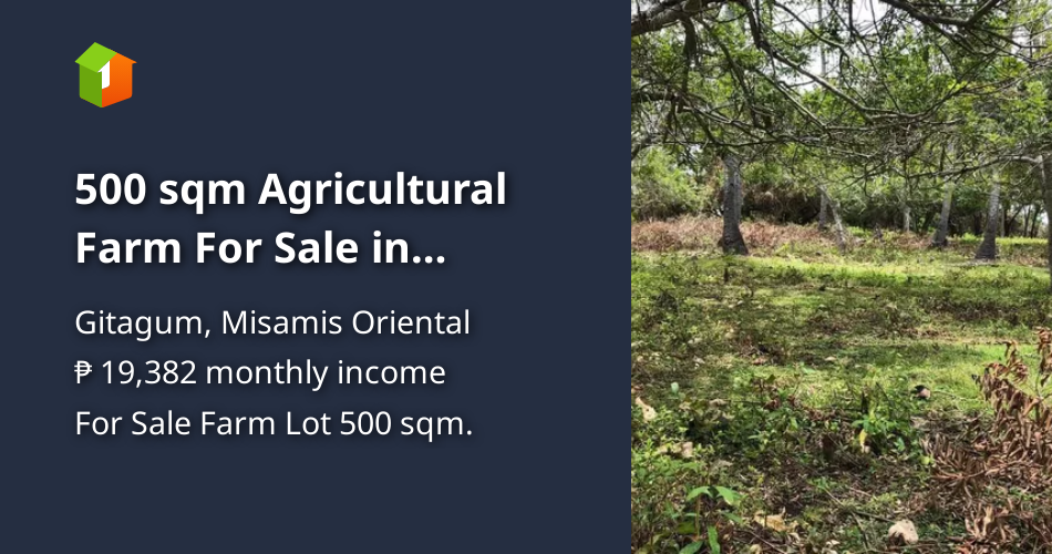 500 sqm Agricultural Farm For Sale in Gitagum Misamis Oriental [Lot 🚜