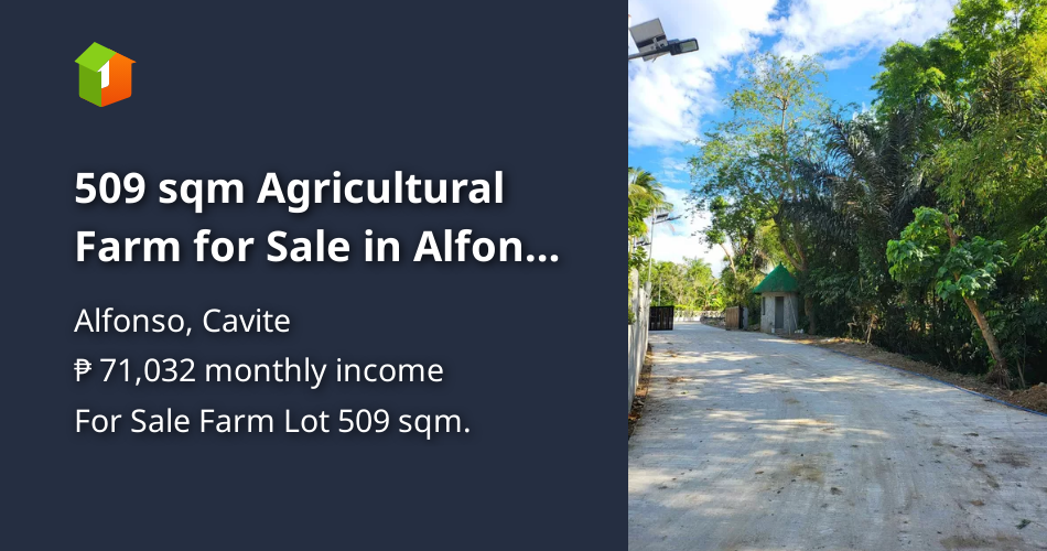 509 sqm Agricultural Farm for Sale in Alfonso Cavite [Lot 🚜] (January