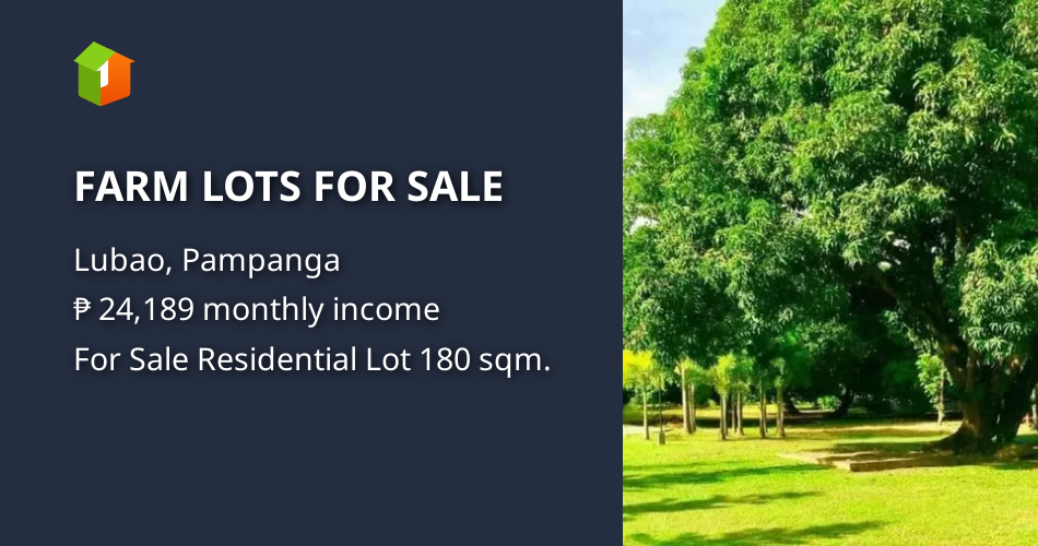FARM LOTS FOR SALE [Lot 🚜] (May 2024) in Lubao, Pampanga for sale