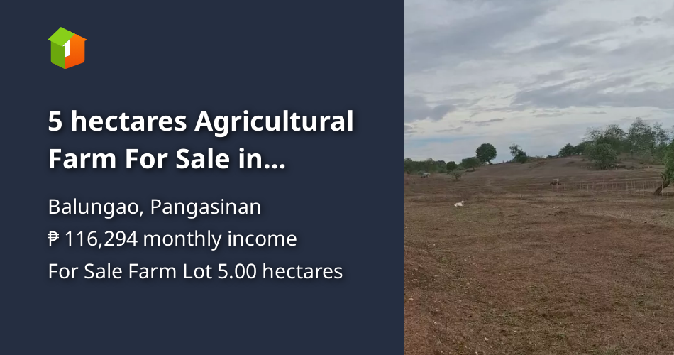 5 hectares Agricultural Farm For Sale in Balungao Pangasinan [Lots 🚜