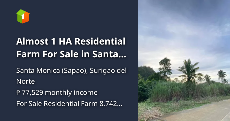 Almost 1 HA Residential Farm For Sale in Santa Monica for 5M only [Lot