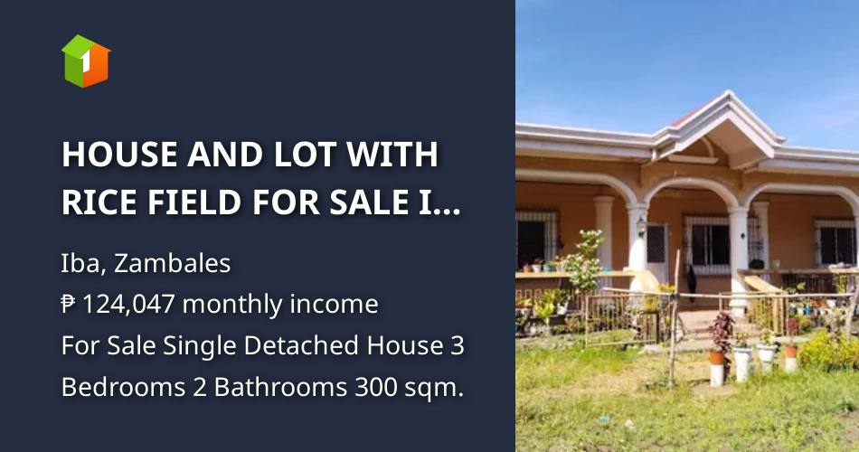 HOUSE AND LOT WITH RICE FIELD FOR SALE IN ZAMBALES [House and Lot 🏘️