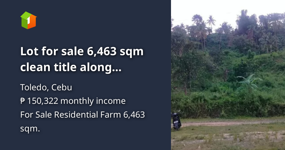 Lot for sale 6,463 sqm clean title along osmena highway Toledo City