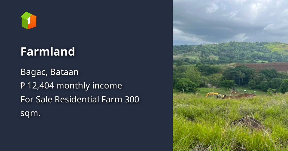 Farmland [Lot 🚜] (November 2023) in Bagac, Bataan for sale