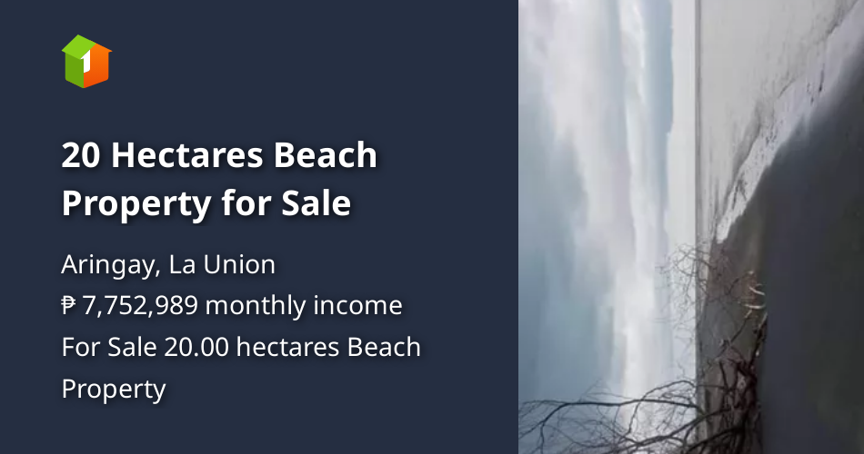 20 Hectares Beach Property for Sale [Beach Property 🏖️] (January 2024) in Aringay, La Union for sale