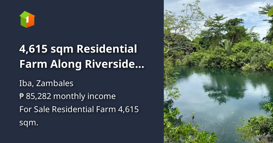 4,615 sqm Residential Farm Along Riverside For Sale in Iba Zambales