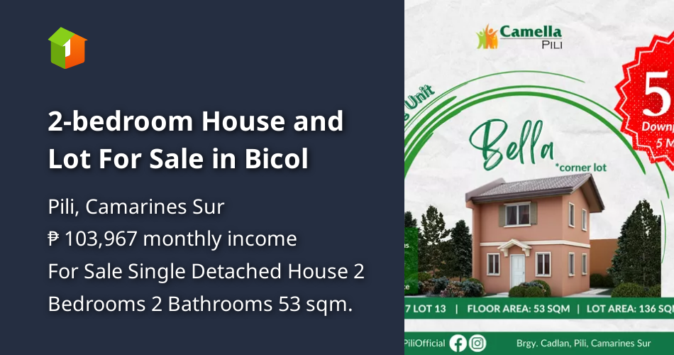 2bedroom House and Lot For Sale in Bicol [House and Lot 🏘️] (March