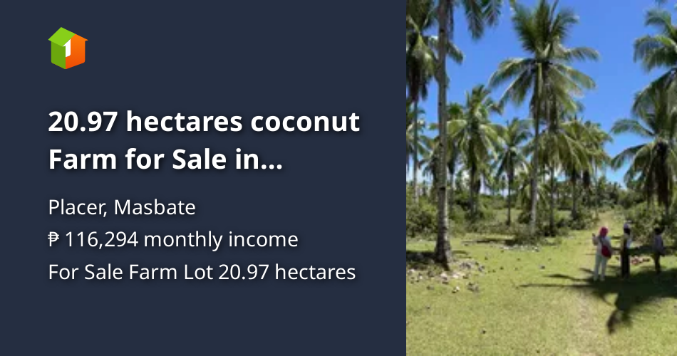 20.97 hectares coconut Farm for Sale in Placer,Masbate [Lot 🚜