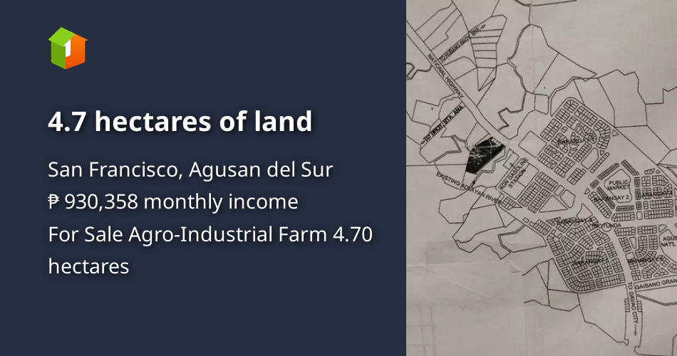 4.7 hectares of land [Lots 🚜] (May 2023) in San Francisco, Agusan del