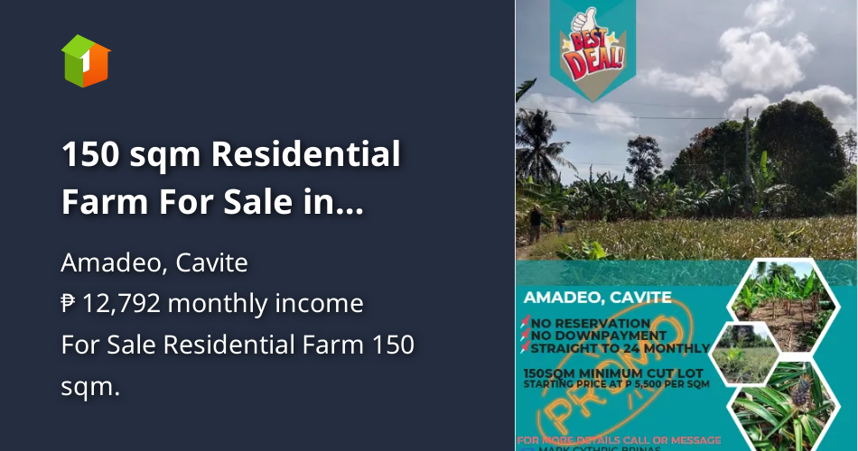 150 sqm Residential Farm For Sale in Amadeo Cavite [Lot 🚜] (July 2022