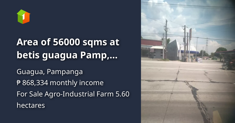 Area of 56000 sqms at betis guagua Pamp, near Petron gas station [Lot 🚜