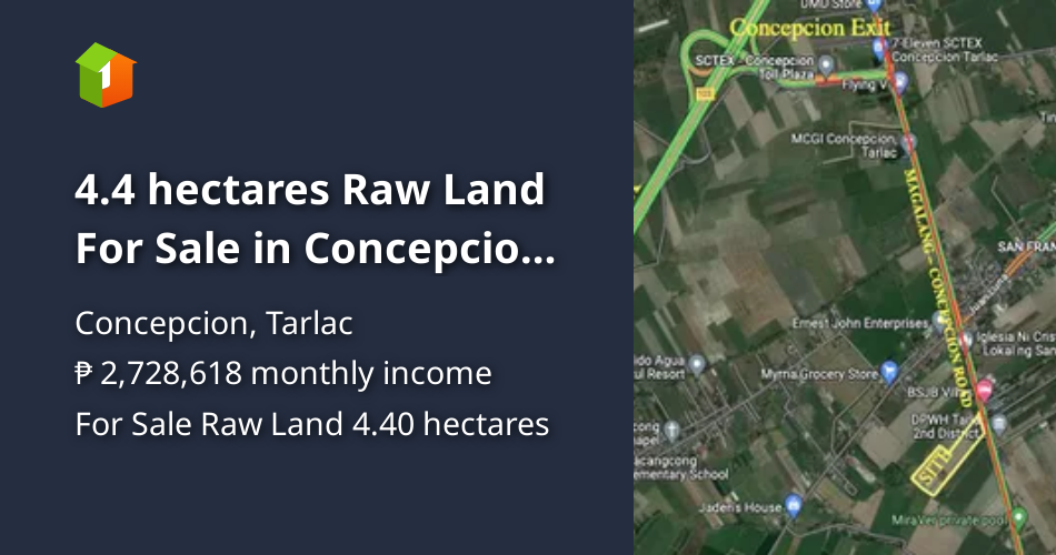 4.4 hectares Raw Land For Sale in Concepcion Tarlac [Lot 🚜] (September
