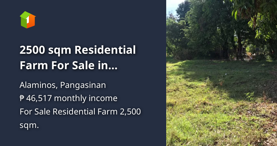 2500 sqm Residential Farm For Sale in Alaminos Pangasinan [Lot 🚜