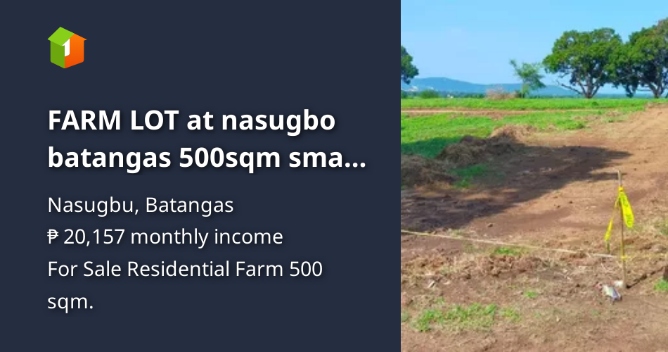FARM LOT at nasugbo batangas 500sqm small cut,1.100per sqm . [Lot 🚜