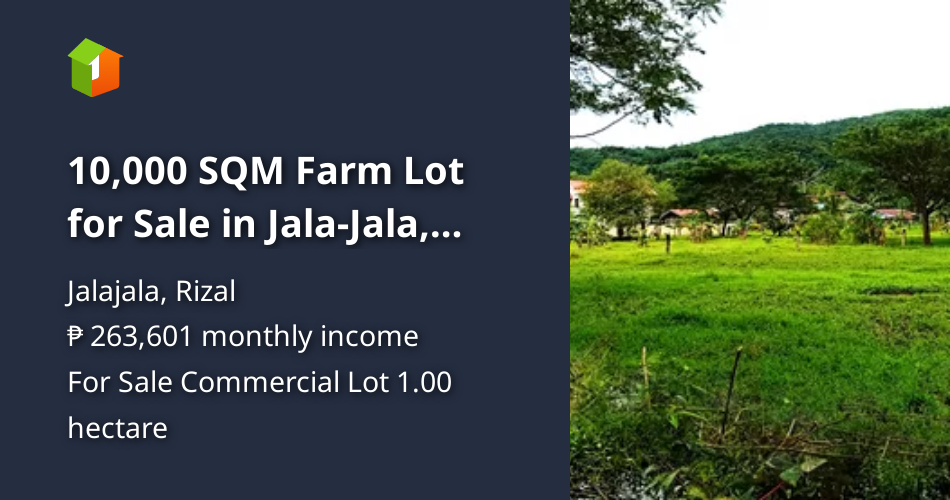 10,000 SQM Farm Lot for Sale in Jala-Jala, Rizal Prime Spot Next to ...