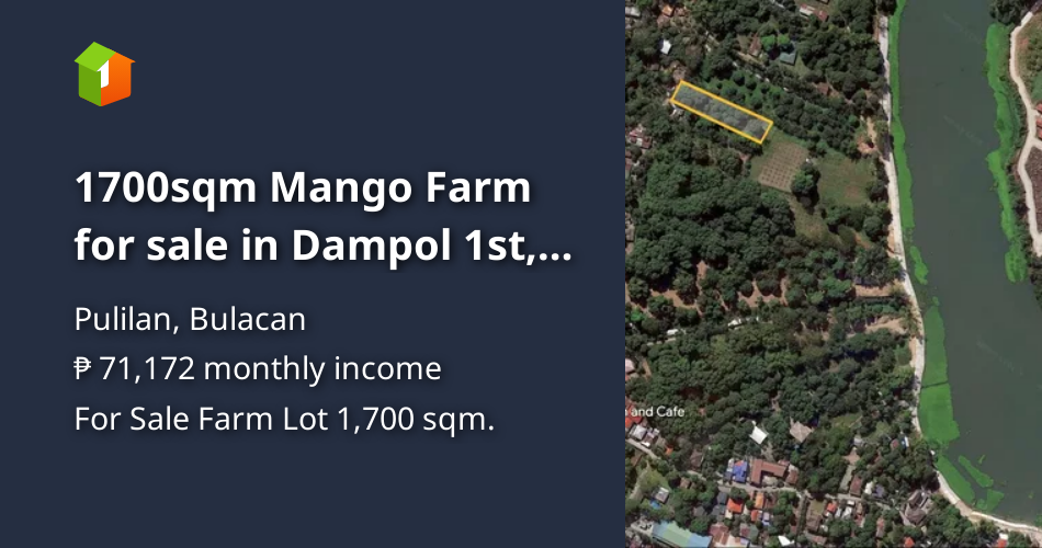 1700sqm Mango Farm for sale in Dampol 1st, Pulilan, Bulacan [Lot 🚜