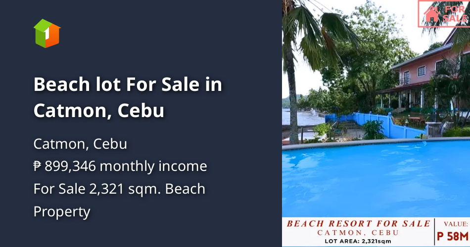 Beach lot For Sale in Catmon, Cebu [Beach Property 🏖️] (August 2024) in