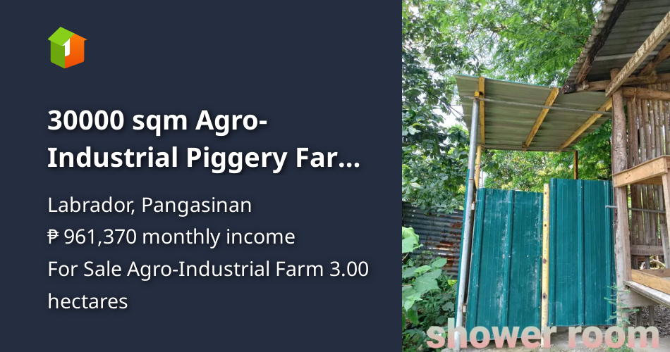 30000 sqm AgroIndustrial Piggery Farm For Sale in Labrador Pangasinan