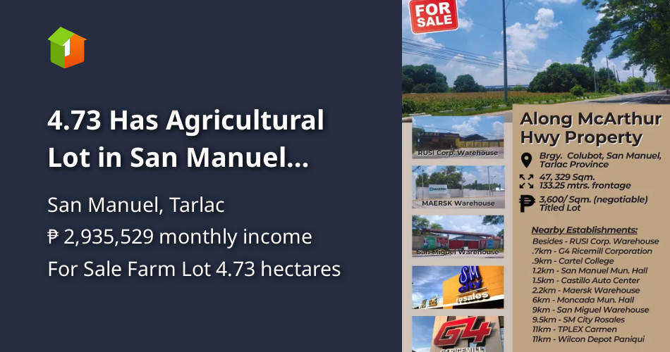 4.73 Has Agricultural Lot in San Manuel Tarlac along McArthur Highway