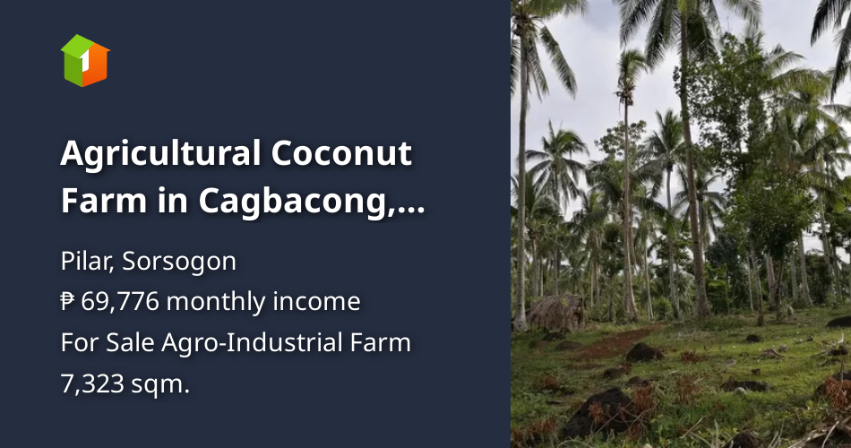 Agricultural Coconut Farm in Cagbacong, Pilar, Sorsogon Land For Sale
