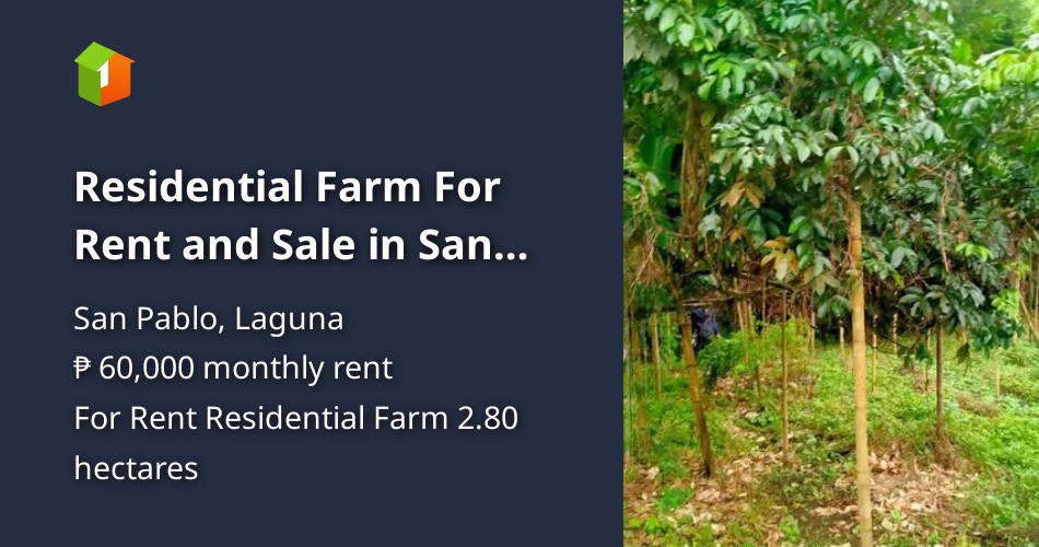 Residential Farm For Rent and Sale in San Pablo Laguna [Lot 🚜] (October