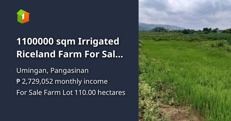 1100000 sqm Irrigated Riceland Farm For Sale in Umingan Pangasinan [Lot
