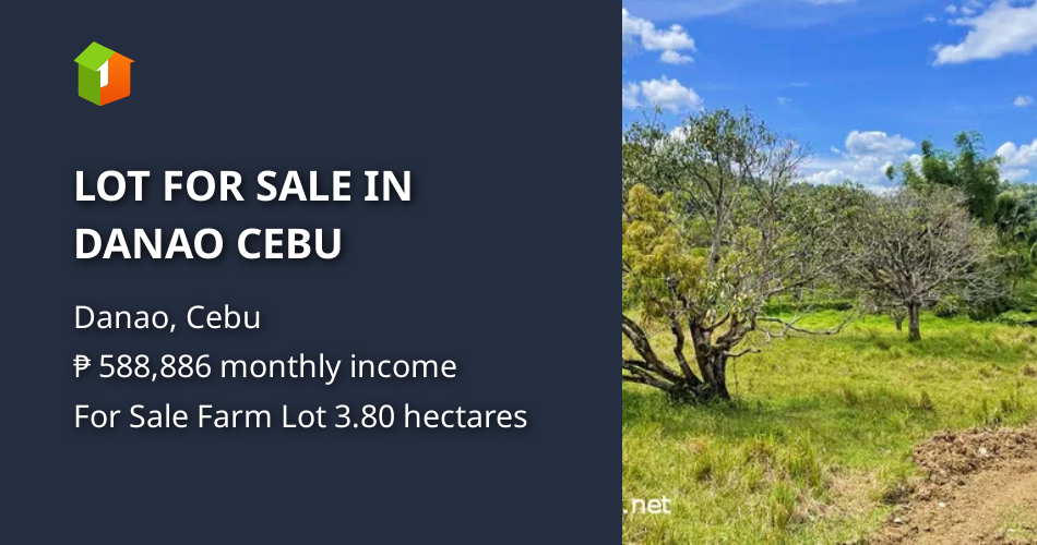 LOT FOR SALE IN DANAO CEBU [Lot 🚜] (June 2023) in Danao, Cebu for sale