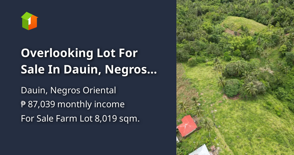 Overlooking Lot For Sale In Dauin, Negros Oriental [Lot 🚜] (January