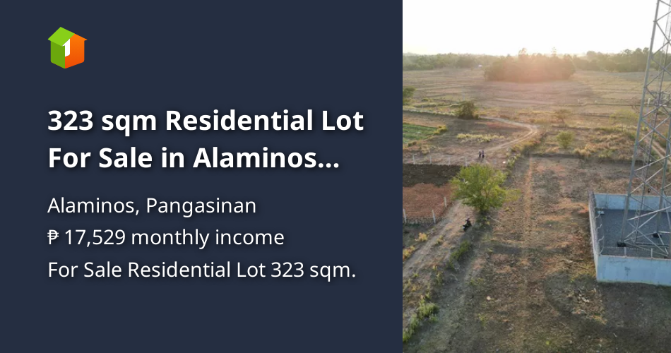 323 sqm Residential Lot For Sale in Alaminos Pangasinan [Lot 🚜] (May