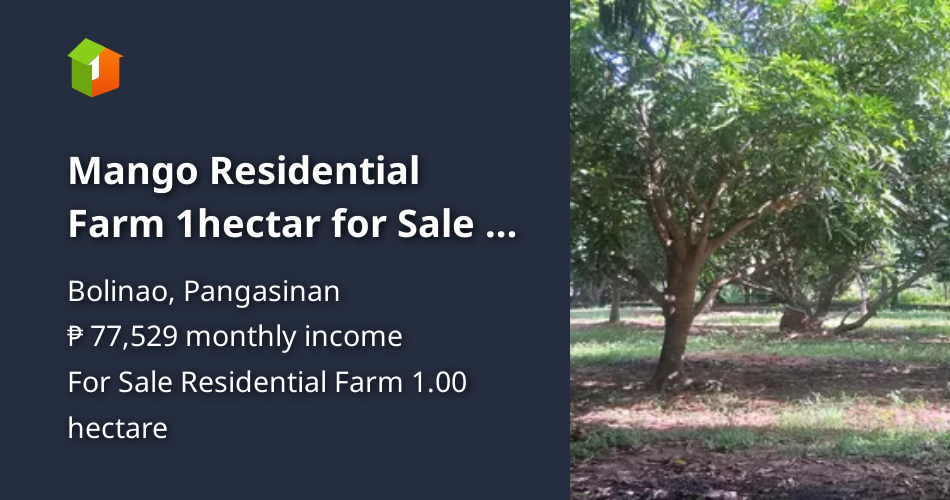 Mango Residential Farm 1hectar for Sale in Bolinao Pangasinan. [Lot 🚜