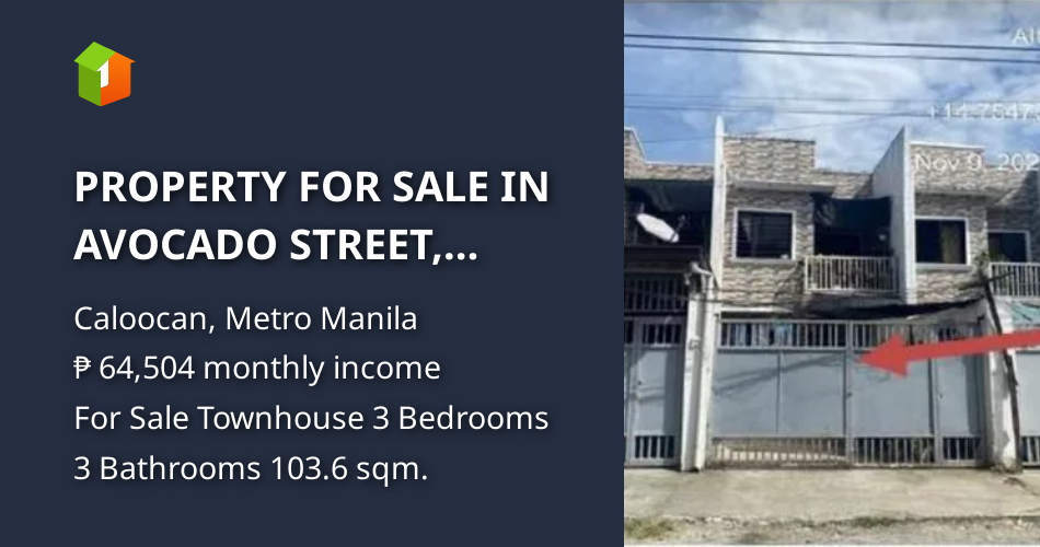PROPERTY FOR SALE IN AVOCADO STREET, BRGY. 178, CAMARIN, CALOOCAN CITY