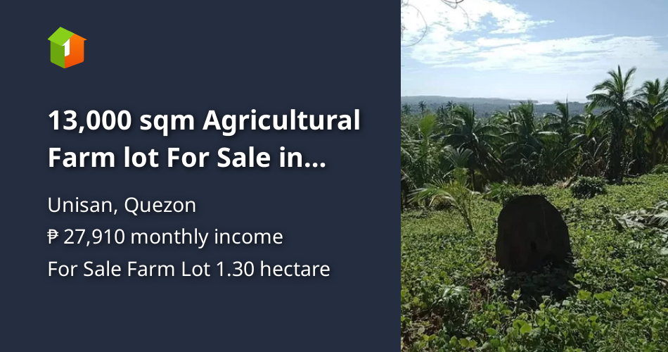 13,000 sqm Agricultural Farm lot For Sale in Quezon,Province [Lots 🚜